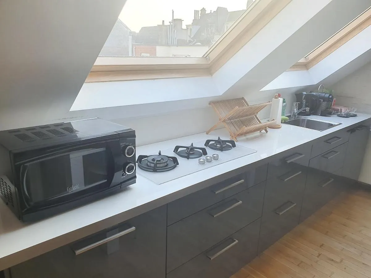 Spacious Loft In The Historical Centre Ghent Apartment